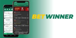 Experience the Thrill of Baji Live Betting 5
