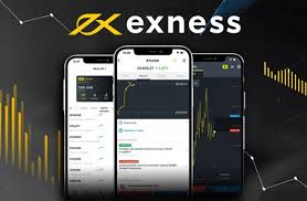 Explore the Exness Mt4 Web Terminal A Comprehensive Guide