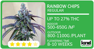 Understanding Marijuana Seeds in New Mexico A Complete Guide Understanding Marijuana Seeds in New Mexico A Complete Guide